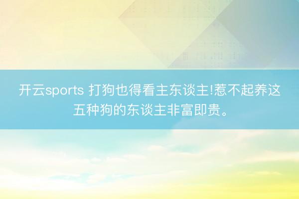 開云sports 打狗也得看主東談主!惹不起養這五種狗的東談主非富即貴。